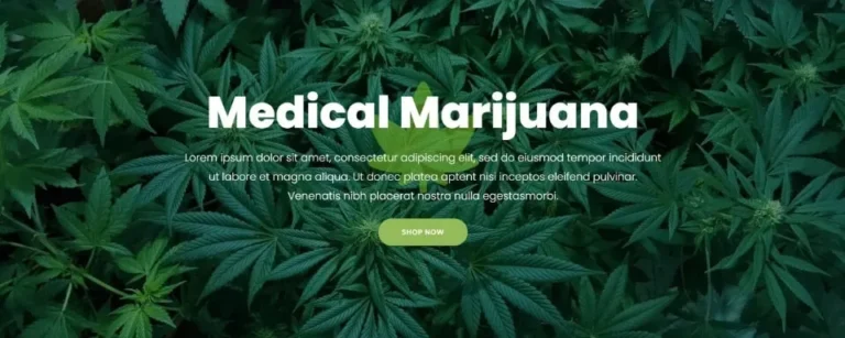 hero section website layout sample (15)