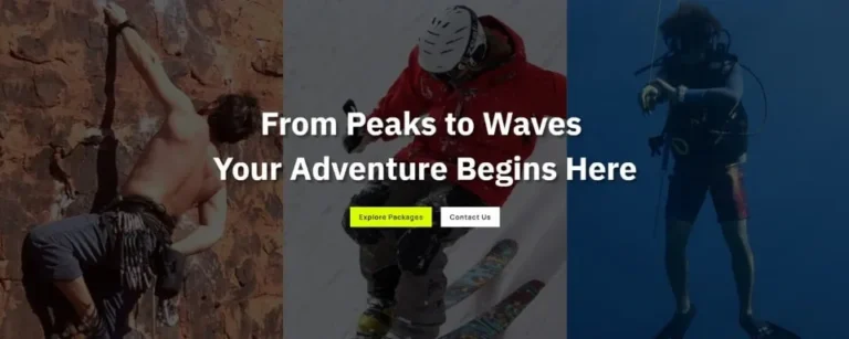 hero section website layout sample (25)