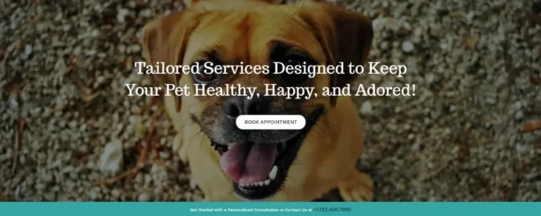 hero section website layout sample (37)